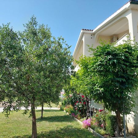 Apartments Влашичи Экстерьер фото