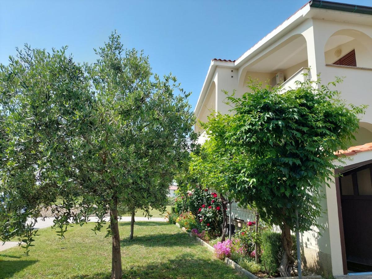 Apartments Влашичи Экстерьер фото