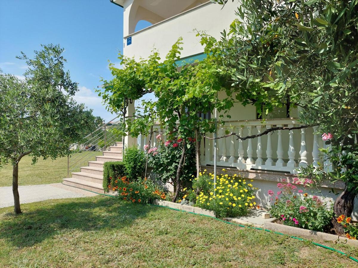 Apartments Влашичи Экстерьер фото